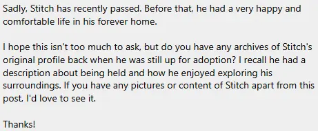 screenshot of an email reading: Sadly, Stitch has recently passed. Before that, he had a very happy and comfortable life in his forever homme. I hope this isn't too much to ask, but do you have any archives of Stitch's original profile back when he was still up for adoption? I recall he had a description about being held and how he enjoyed exploring his surroundings. If you have any pictures or content of Stitch apart from this post, I'd love to see it. Thanks! - This email was sent by Stitch's family.